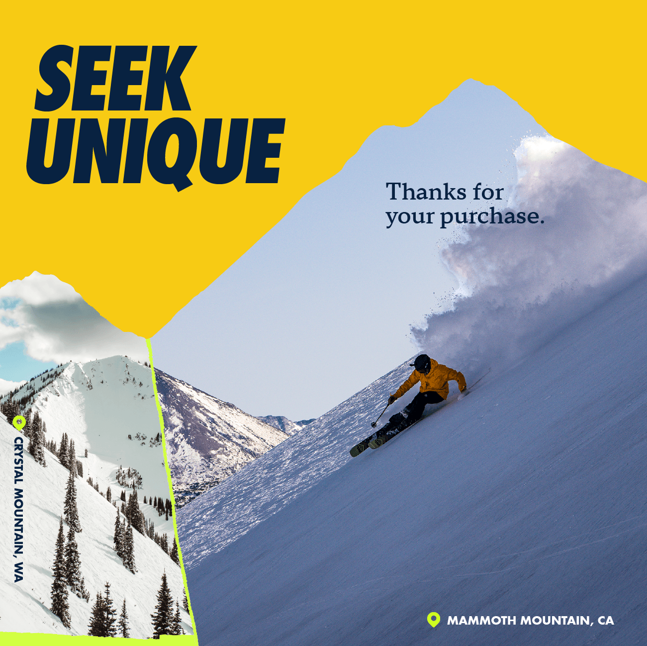 Thanks for your purchase